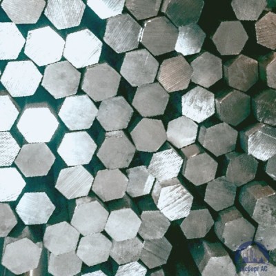Шестигранник титановый 30 мм ВТ1-0 купить в Павлодаре