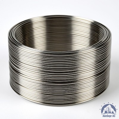 Проволока иридиевая 0,06 мм И 99,9 ГОСТ 19351-2006 купить в Павлодаре