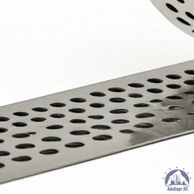 Скрепа для ленты НС-20-Т с зубьями C304 купить в Павлодаре