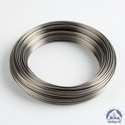 Проволока вольфрамовая 10,6 мкм ВМ купить в Павлодаре