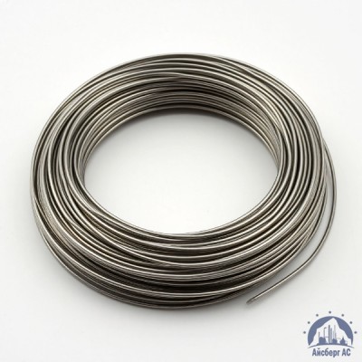 Проволока 0,03-Х20Н80-ВИ ГОСТ 8803-89 купить в Павлодаре