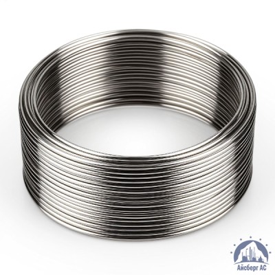 Проволока 0,4 bk DIN 2078 купить в Павлодаре