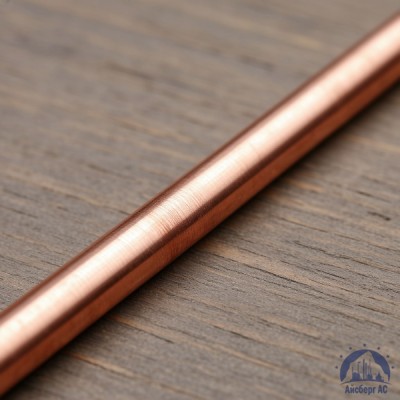 Пруток медный 10 мм М1 ГОСТ 1535-2006 купить в Павлодаре