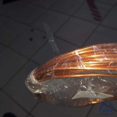 Труба М1 10х0,35 ТУ 48-0814-104-99 купить в Павлодаре