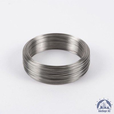 Проволока вязальная 0,3 мм ТН-С ГОСТ 3282-74 купить в Павлодаре