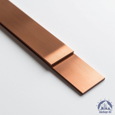 Полоса медная 100х10 мм М1Т ГОСТ 434-78 купить в Павлодаре