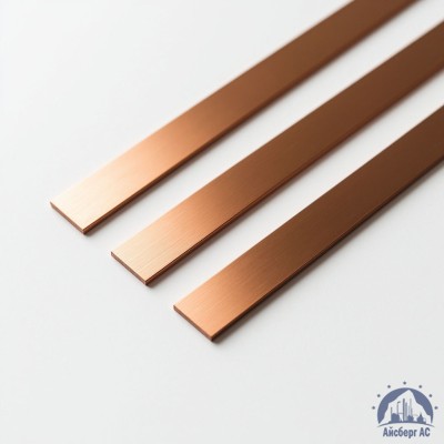 Полоса медная 100х10 мм ШМТ ГОСТ 434-78 купить в Павлодаре