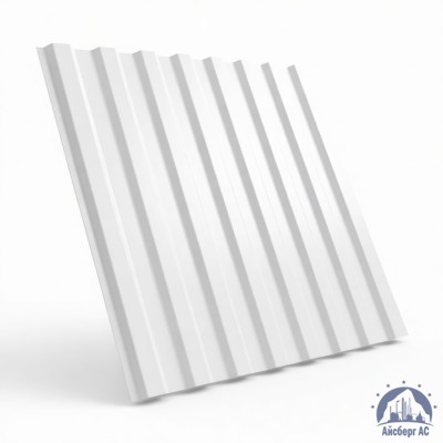 Профнастил RAL 9003 С21 0.5 мм купить в Павлодаре