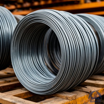 Проволока   1-П-1-30 ГОСТ 5663-79 купить в Павлодаре