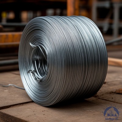 Проволока   1-П-1-45 ГОСТ 5663-79 купить в Павлодаре