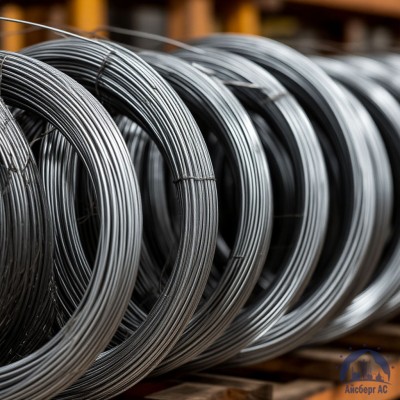 Проволока 1,2 мм 12ХМ ГОСТ 18143-72 купить в Павлодаре