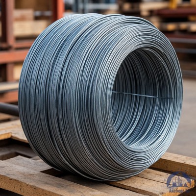 Проволока вольфрамовая 12 мкм ВМ купить в Павлодаре