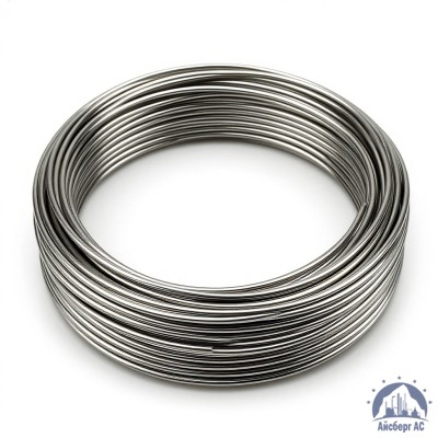 Проволока круглая 0,2-П-2-65Г ГОСТ 3875-83 купить в Павлодаре