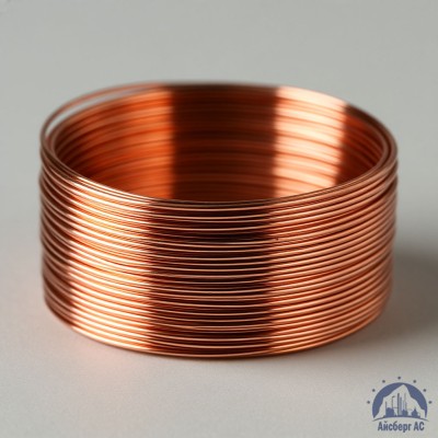 Проволока сварочная ДКРХМ 4 БТ МСр1 ГОСТ 16130-90 купить в Павлодаре