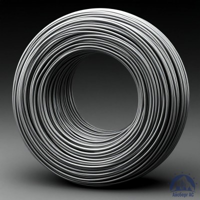 Проволока   1-1-10пс ГОСТ 5663-79 купить в Павлодаре