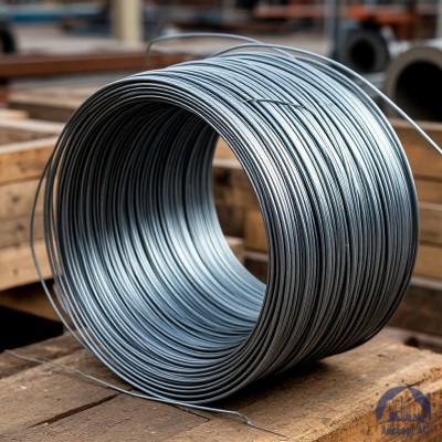 Проволока   1-1-25 ГОСТ 5663-79 купить в Павлодаре