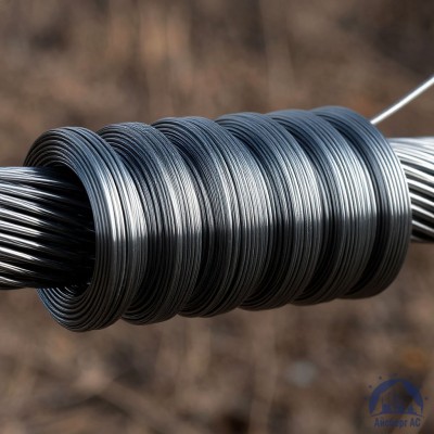 Проволока   1-2-08пс ГОСТ 5663-79 купить в Павлодаре