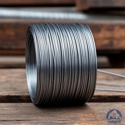 Проволока   1-2-30 ГОСТ 5663-79 купить в Павлодаре