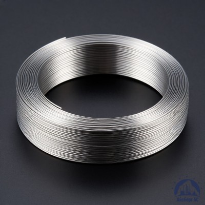 Проволока титановая 0,8 мм ВТ20-2СВ ГОСТ 27265-87 купить в Павлодаре