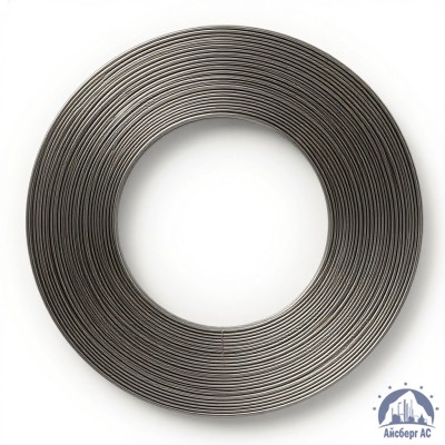 Проволока титановая 2 мм 7М купить в Павлодаре