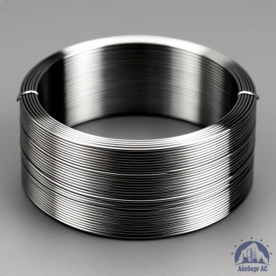 Проволока титановая 2 мм ВТ1-0 купить в Павлодаре