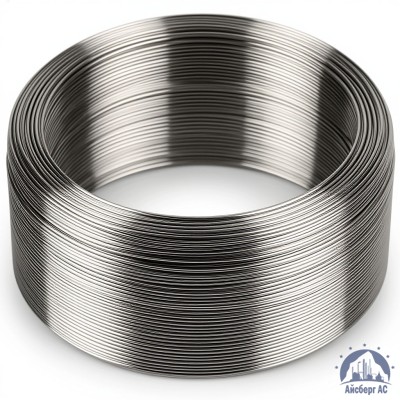 Проволока титановая 3 мм СПТ2 купить в Павлодаре