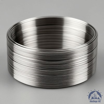 Проволока титановая 4 мм 2В купить в Павлодаре