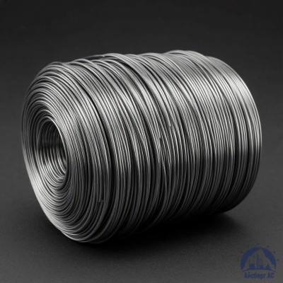 Проволока свинцовая 2 мм С1 купить в Павлодаре