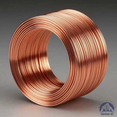 Проволока сварочная ДКРХМ 2 БТ М1 ГОСТ 16130-90 купить в Павлодаре