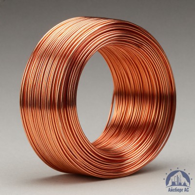 Проволока сварочная ДКРХМ 2 БТ МСр1 ГОСТ 16130-90 купить в Павлодаре