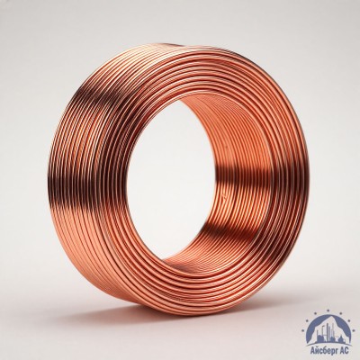 Проволока сварочная ДКРХМ 6 БТ МНЖКТ5-1-0,2-0,2 ГОСТ 16130-90 купить в Павлодаре