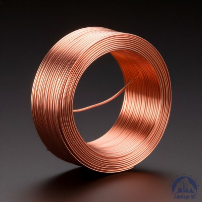 Проволока сварочная ДКРХМ 6 БТ МСр1 ГОСТ 16130-90 купить в Павлодаре