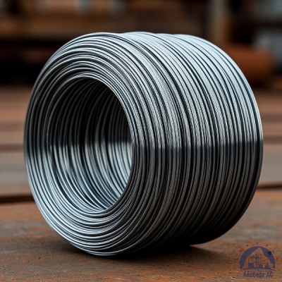 Проволока   1-П-2-10 ГОСТ 5663-79 купить в Павлодаре