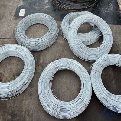 Проволока 0,3-Х15Н60 ГОСТ 8803-89 купить в Павлодаре