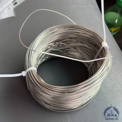 Проволока 0,25-Х15Н60 ГОСТ 8803-89 купить в Павлодаре