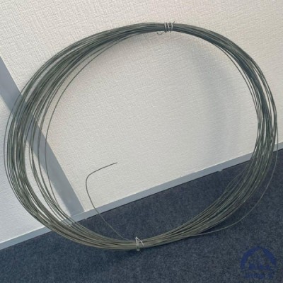 Проволока 0,36-Х20Н80 ГОСТ 8803-89 купить в Павлодаре