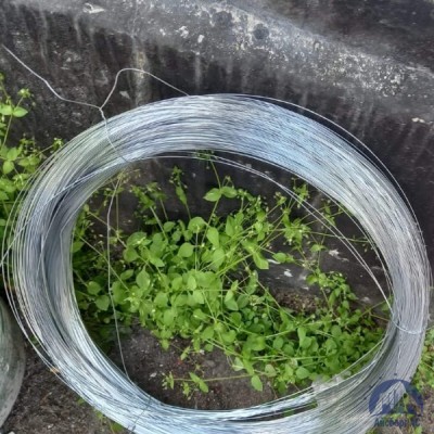 Проволока 0,34-Х20Н80-ВИ ГОСТ 8803-89 купить в Павлодаре