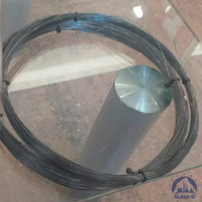 Проволока 0,32-20пс ГОСТ 17305-91 купить в Павлодаре